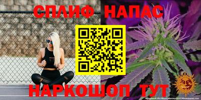 ГАЛЛЮЦИНОГЕННЫЕ ГРИБЫ Будённовск