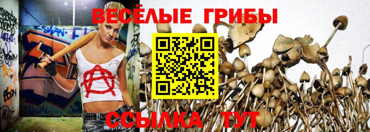 Орёл  Псилоцибиновые грибы Psilocybine cubensis  Вход с VPN  Галлюциногенные грибы Psilocybe 